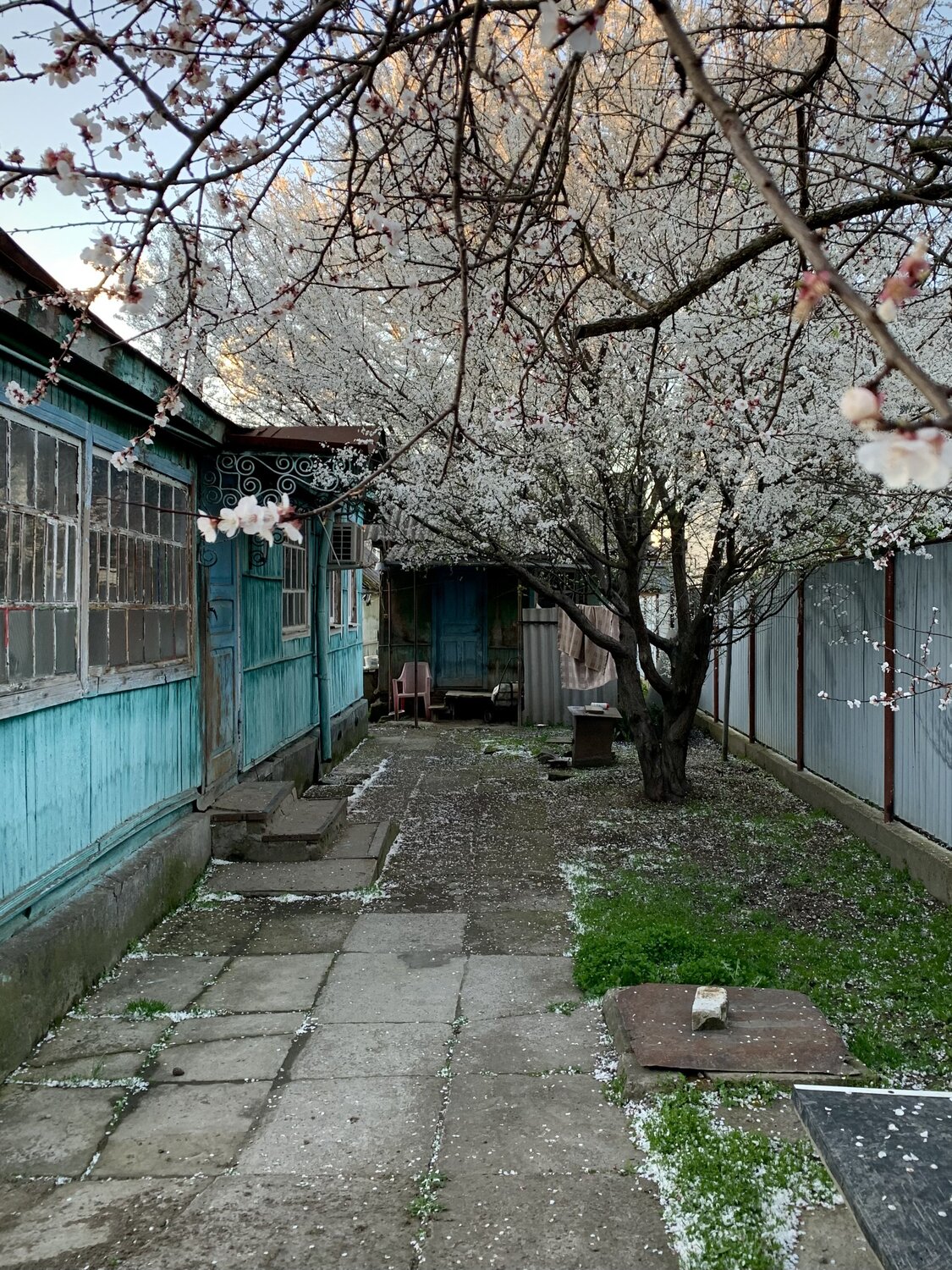 Фотография #13901722