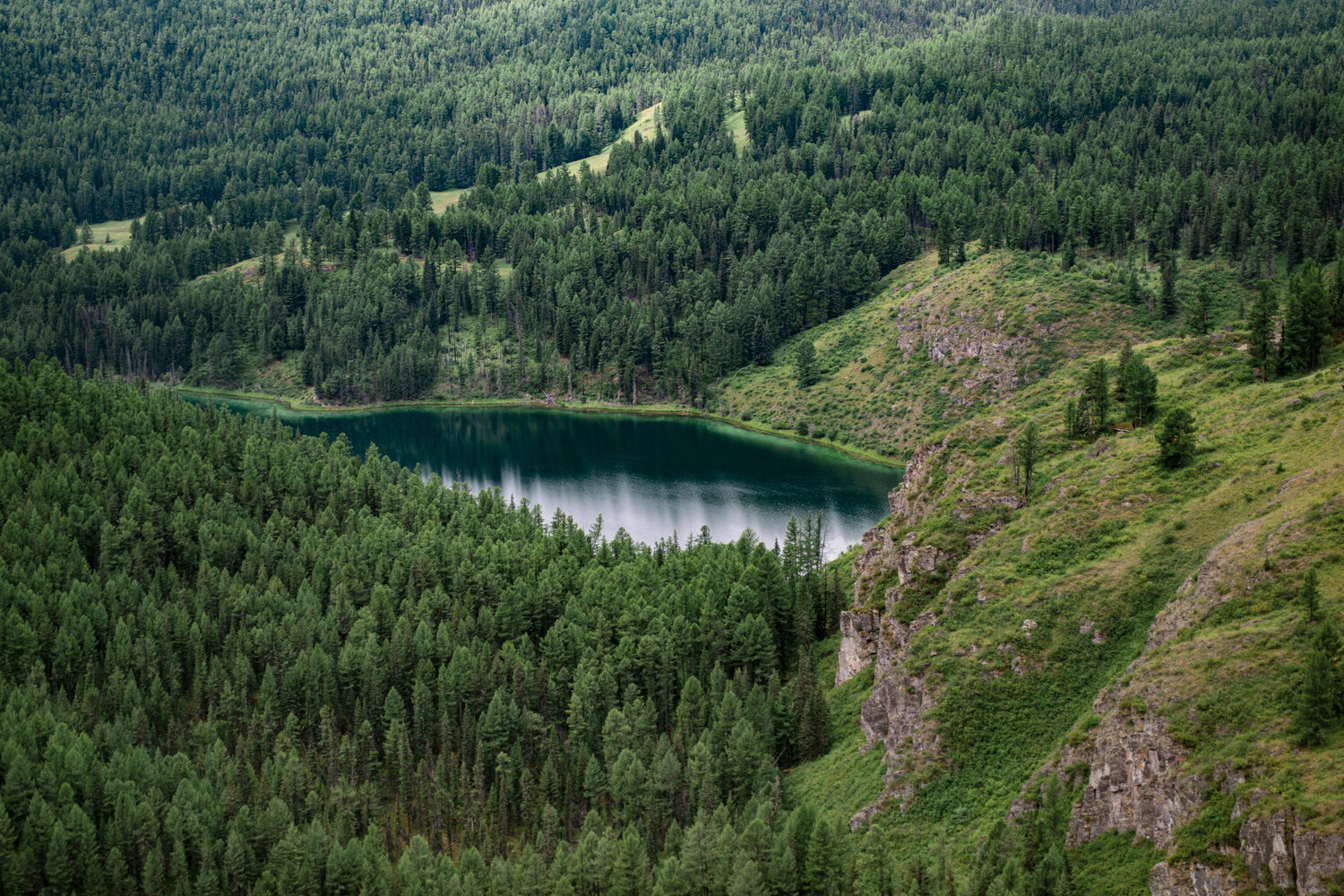 Photo #13901729