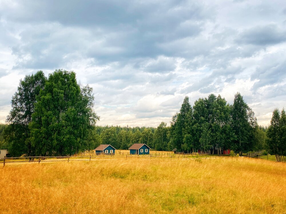 Суровое лето на хуторе