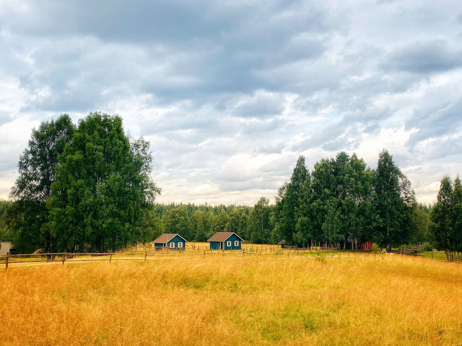 Суровое лето на хуторе