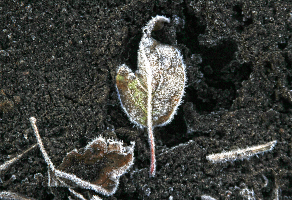 Photograph by Евгения Емельянова