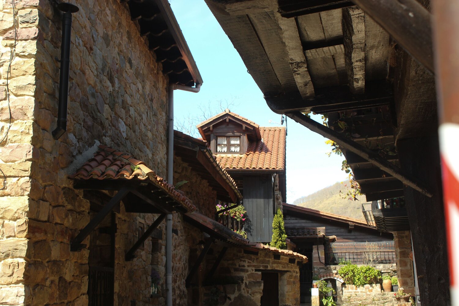 Photo #13901765