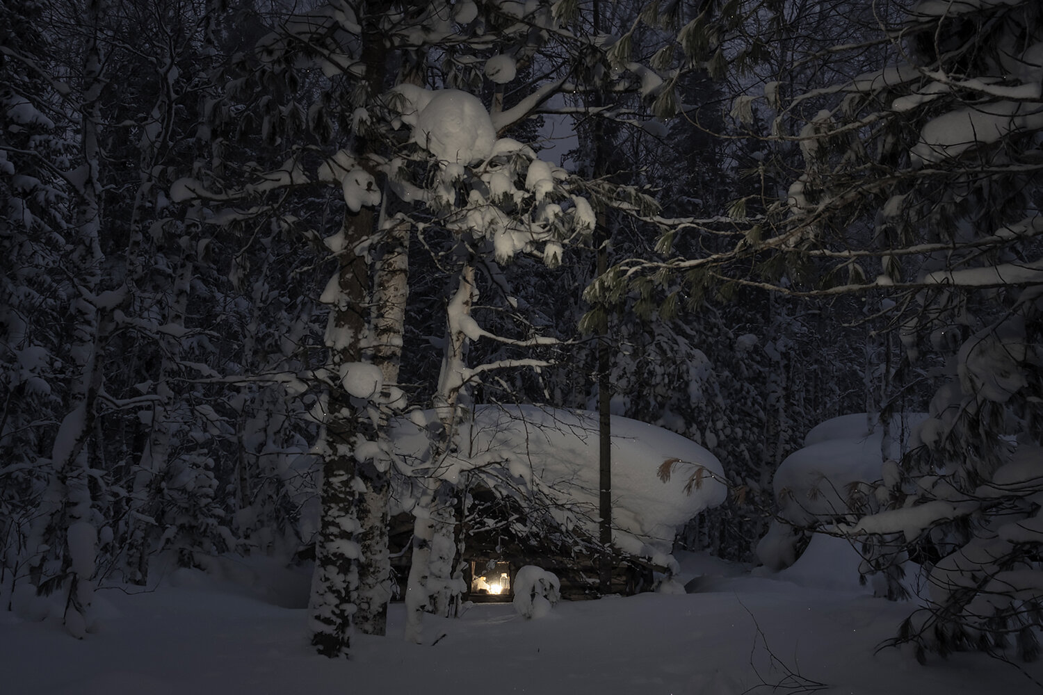 Photo #13901793