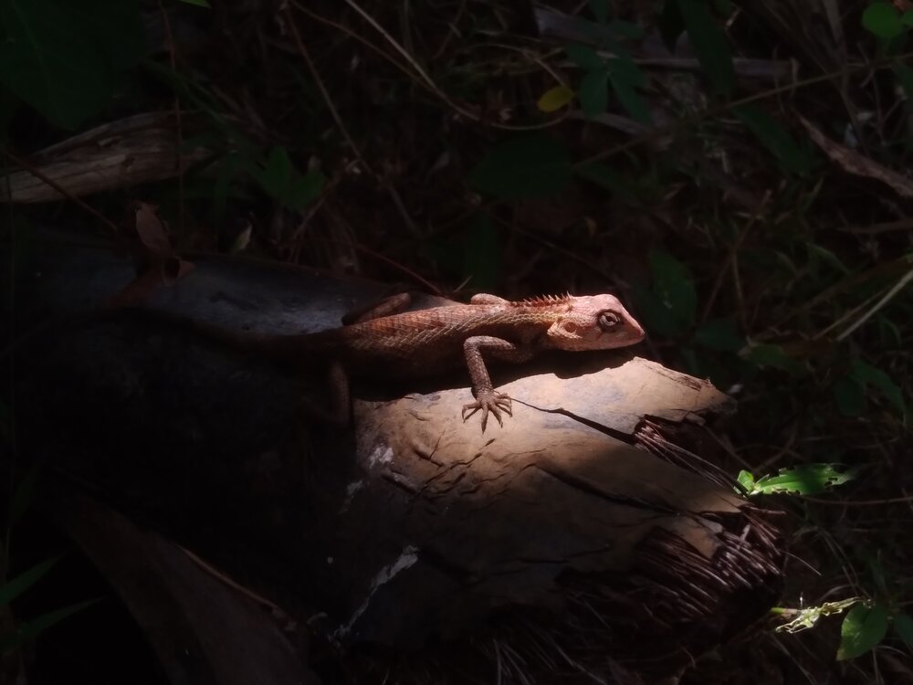 Basking in the Spotlight