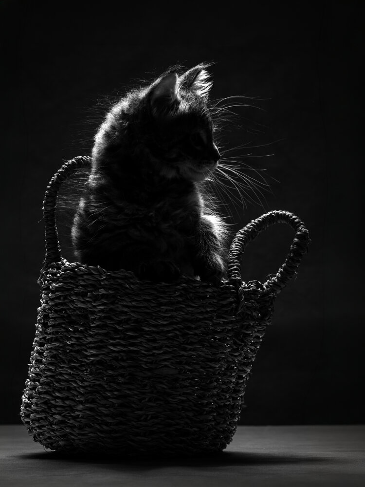 Photograph by Dina Damotseva
