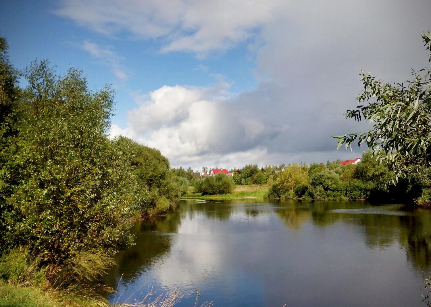 Photo #13901847