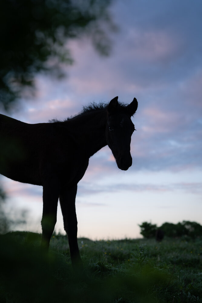 Photograph by Dina Damotseva