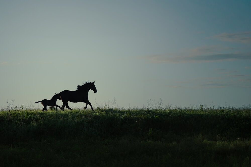 Photograph by Dina Damotseva