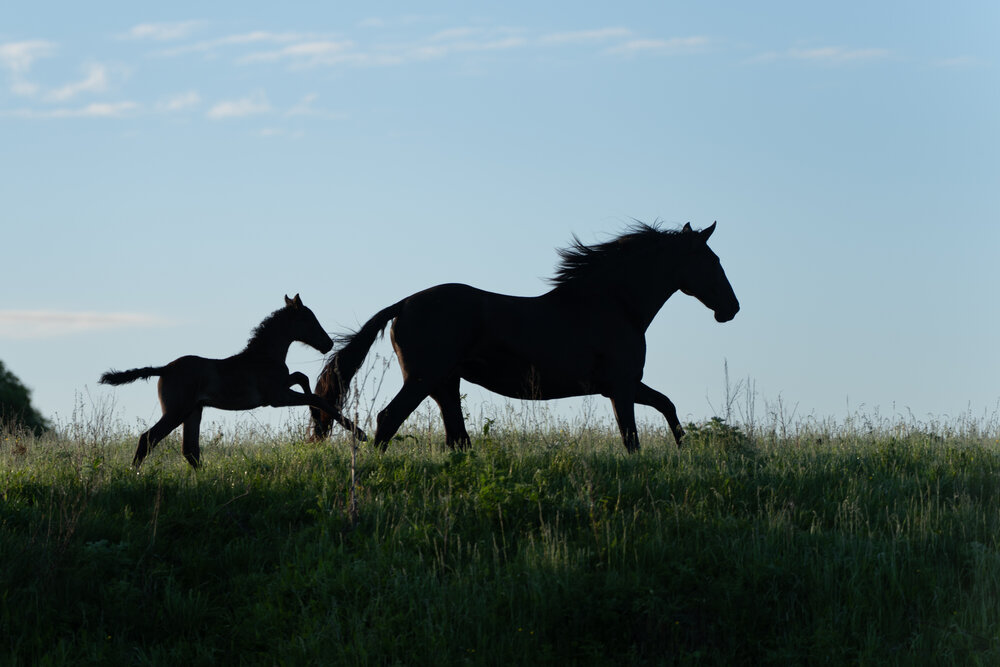 Photograph by Dina Damotseva