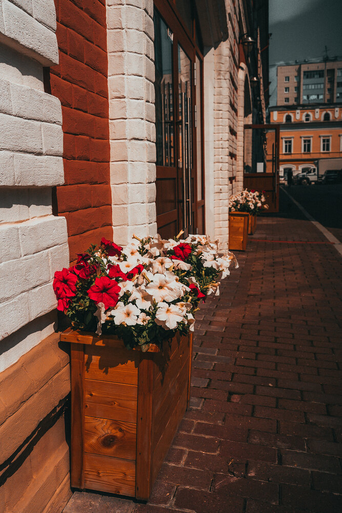 Photograph by Юлия Арт