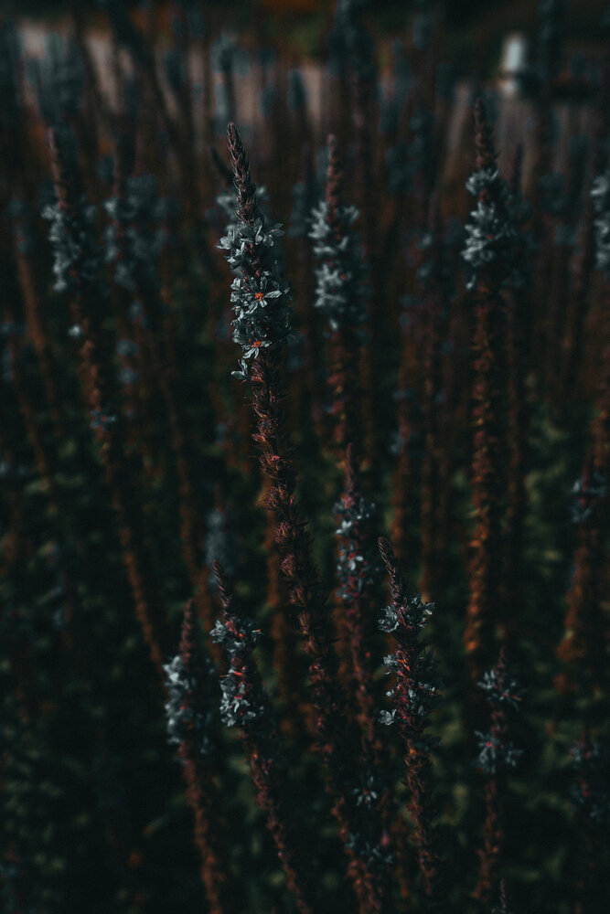 Photograph by Юлия Арт