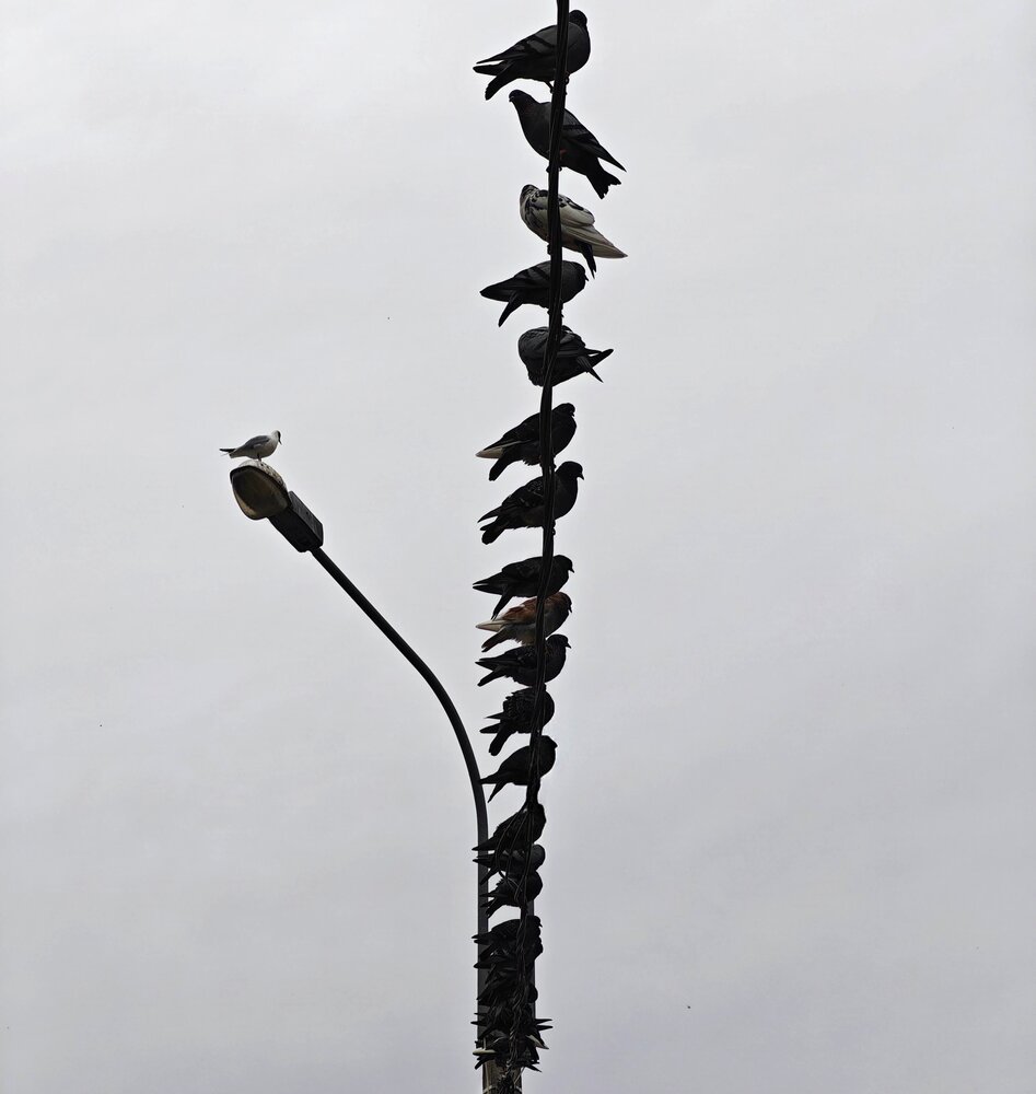 Photograph by Игорь Бахарев