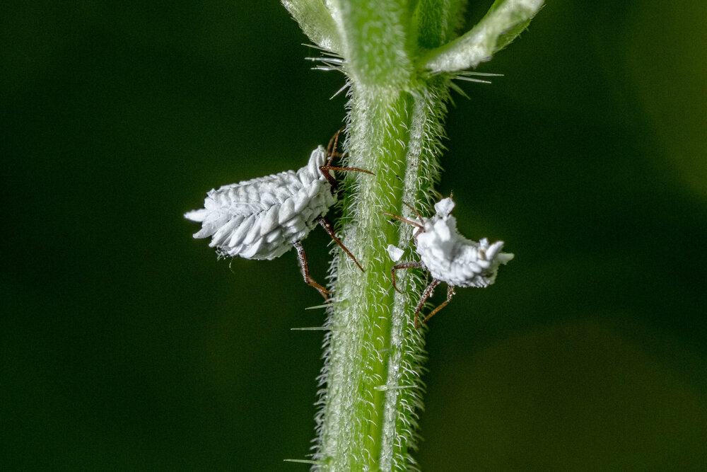 Photograph by Кадиров Азат