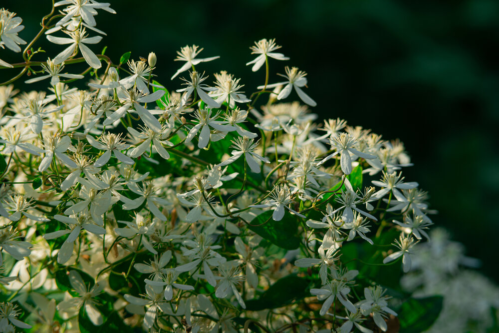 Photograph by Денис Хасанов