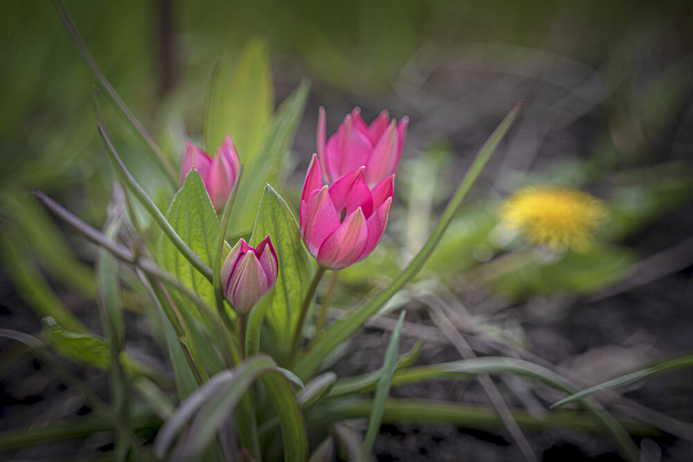 Photograph by Алексей Мякота