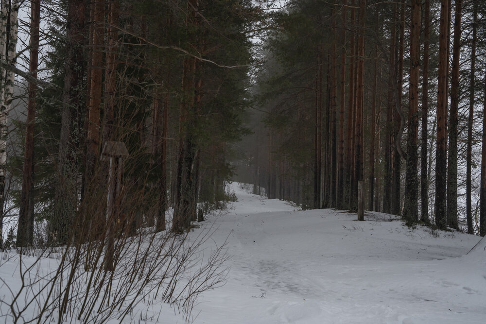 Photograph by Евгения Ковригина