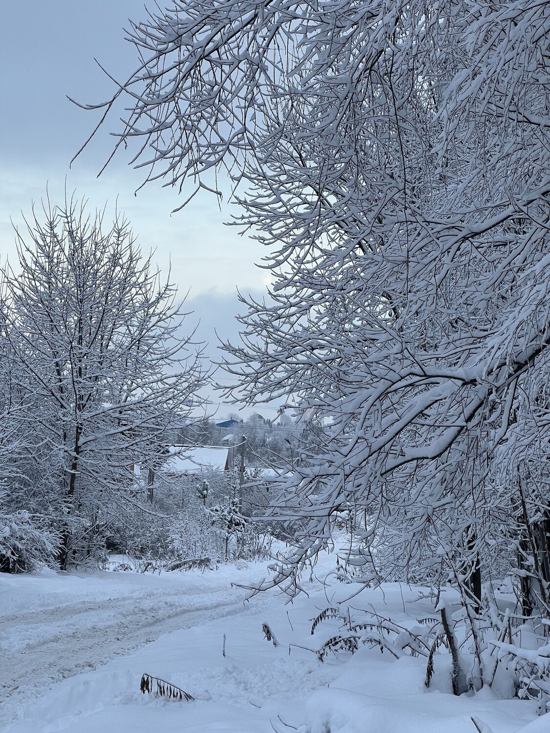 Photo #13902064