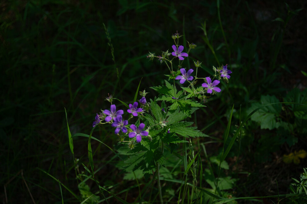 Photograph by Денис Хасанов