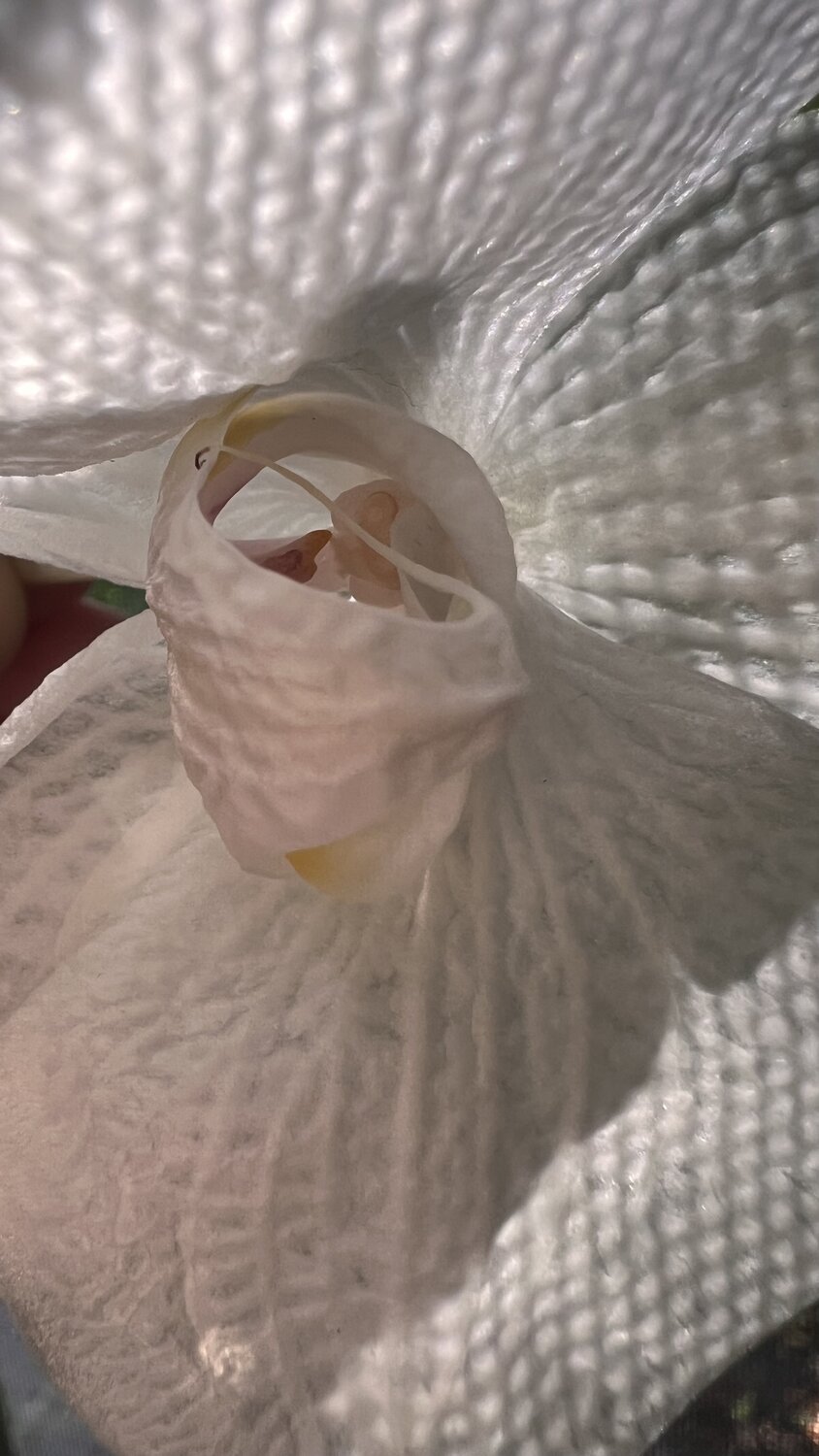 Photo #13902068
