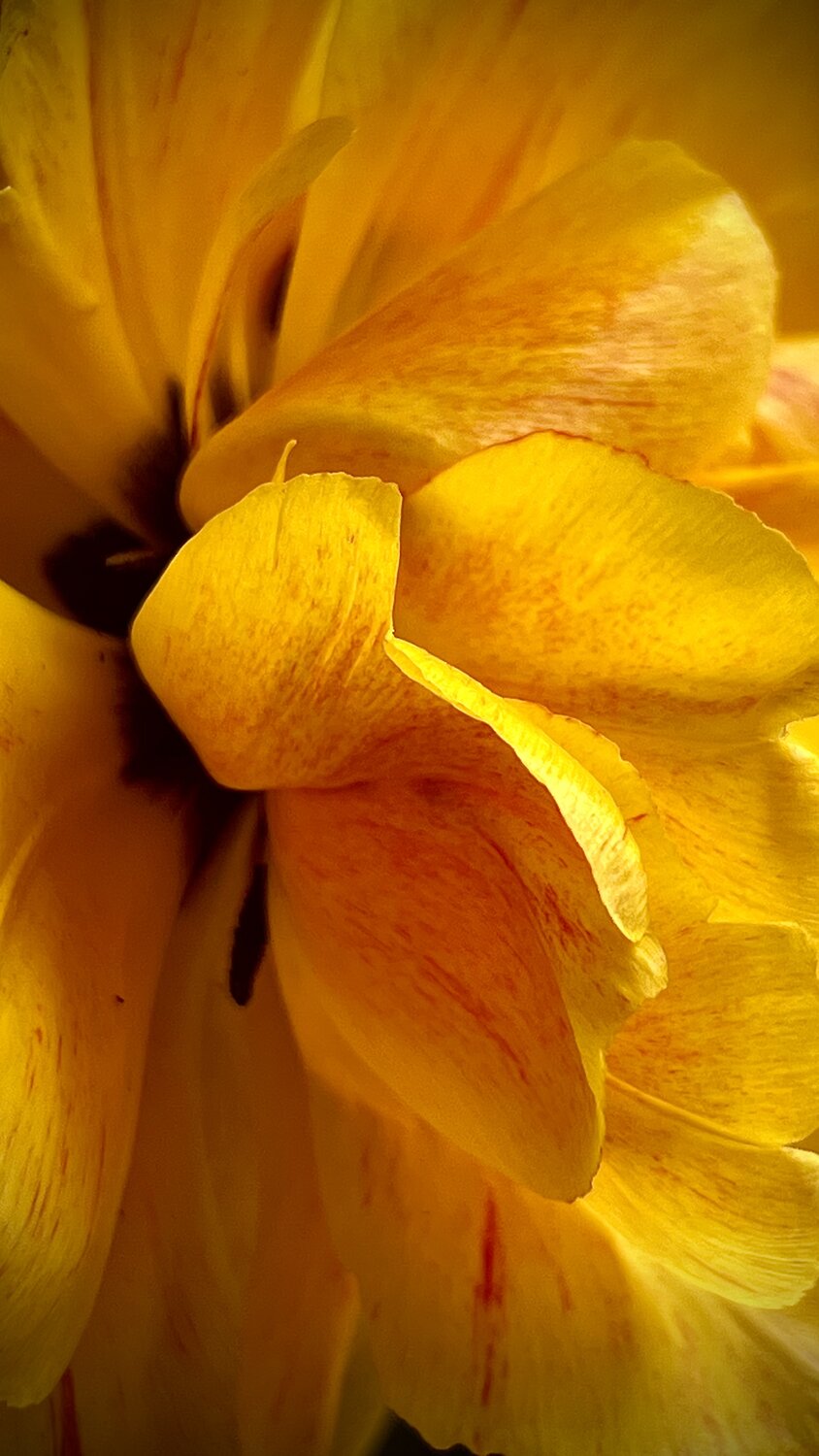 Photo #13902069