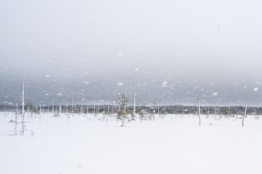 Photograph by Евгения Ковригина