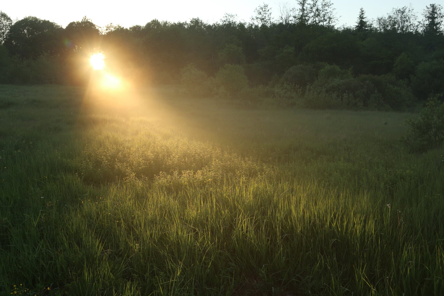 Photo #13902203