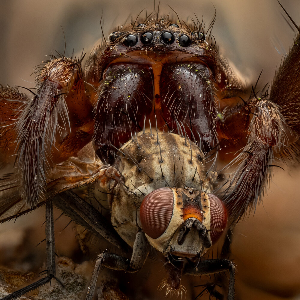 Photograph by Derek Moorse