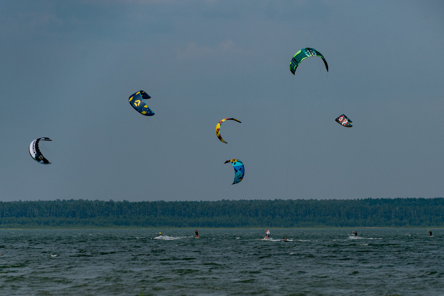 Photo #13902241