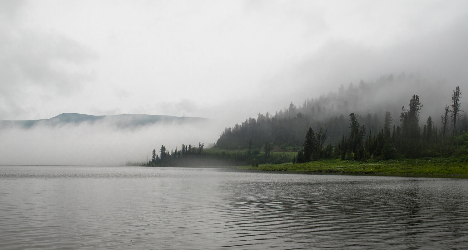 Photo #13902289
