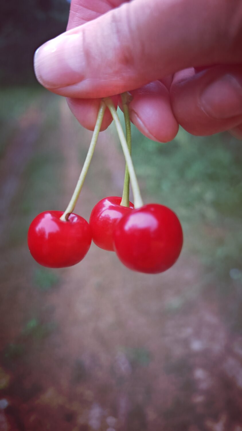 Photo #13902314