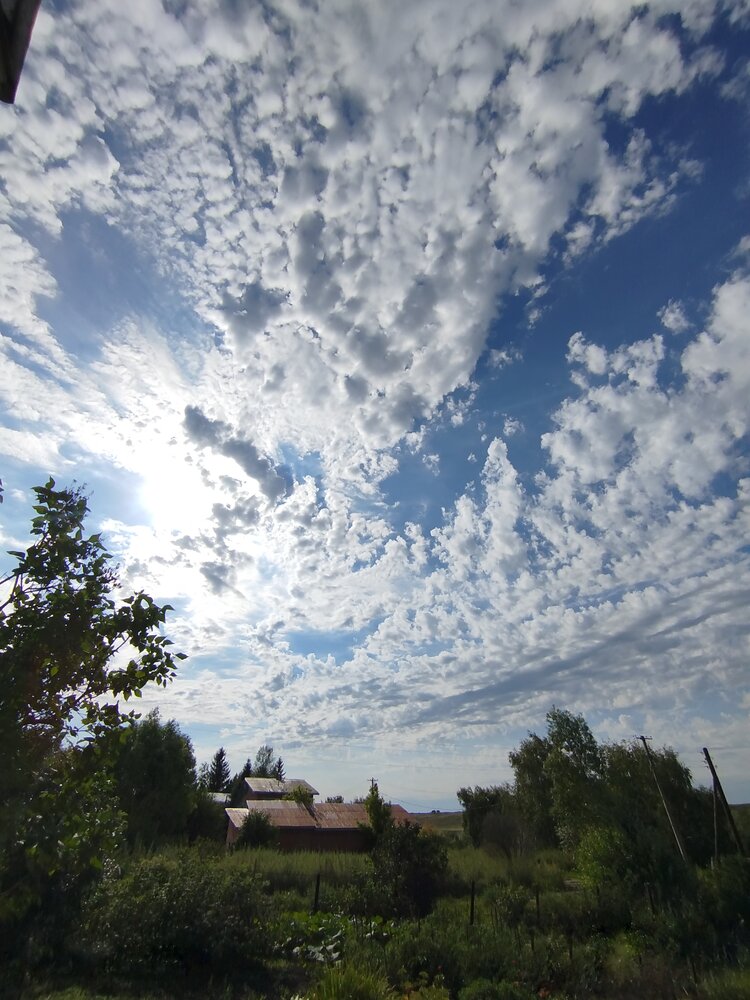 Photograph by Дубровина Марина