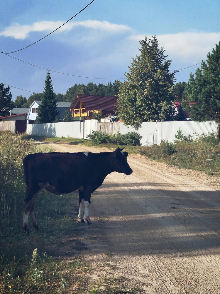 Photograph by Дубровина Марина