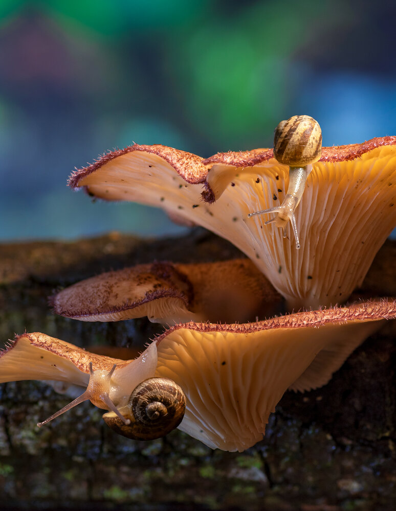 Photograph by Valdir Hobus