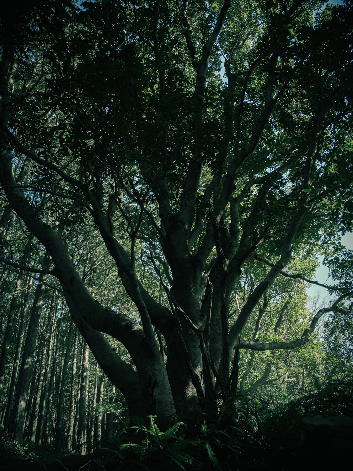 Photo #13902433