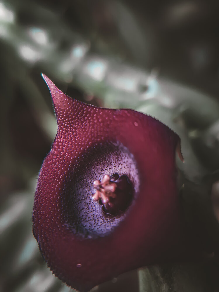 Photograph by Анастасия Никулина