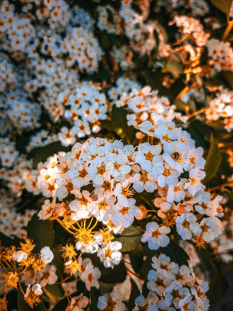 Photograph by Анастасия Никулина