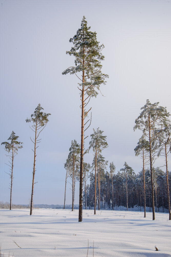 Photograph by Andrei Sosnouski