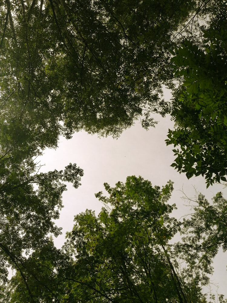 Photograph by Галина Пылаева