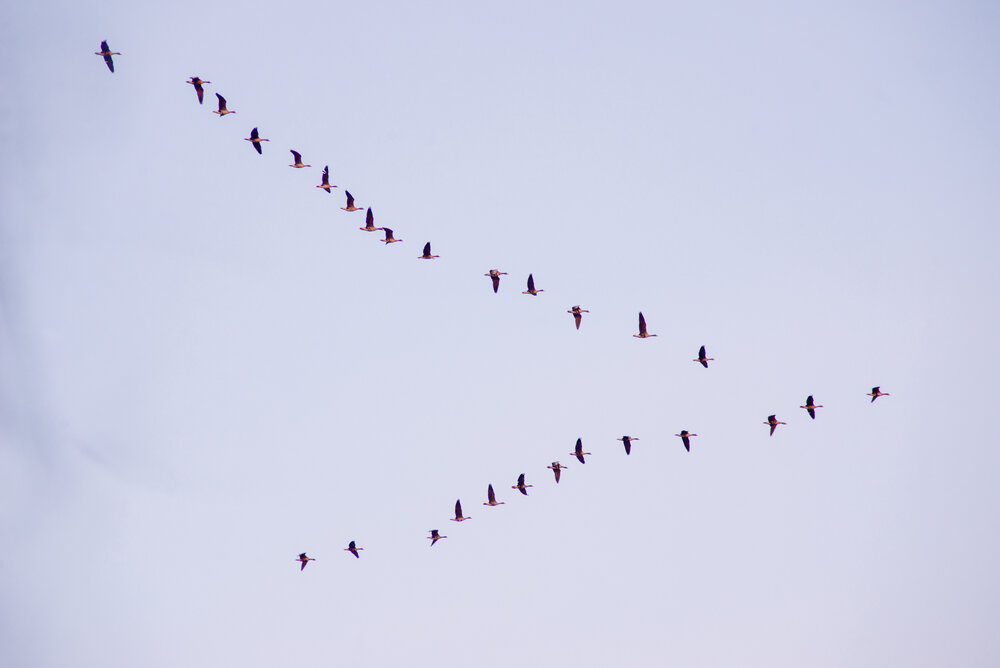 Photograph by Andrei Sosnouski
