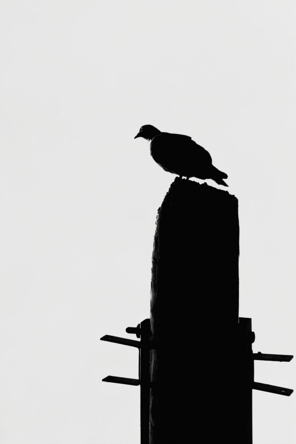 Silhouette