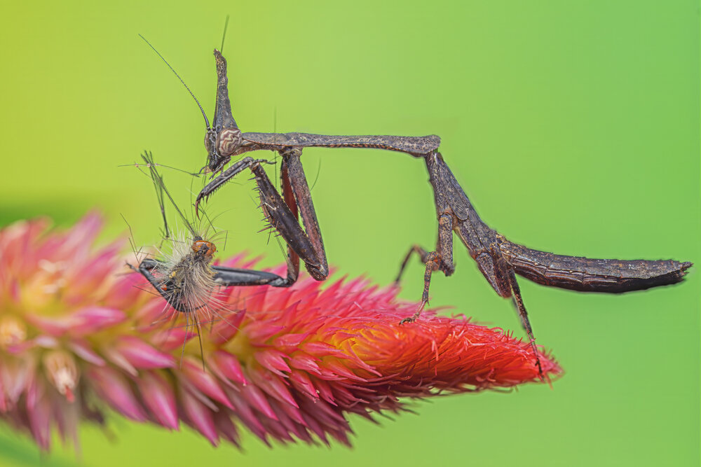 Photograph by Trung Hoa Vo