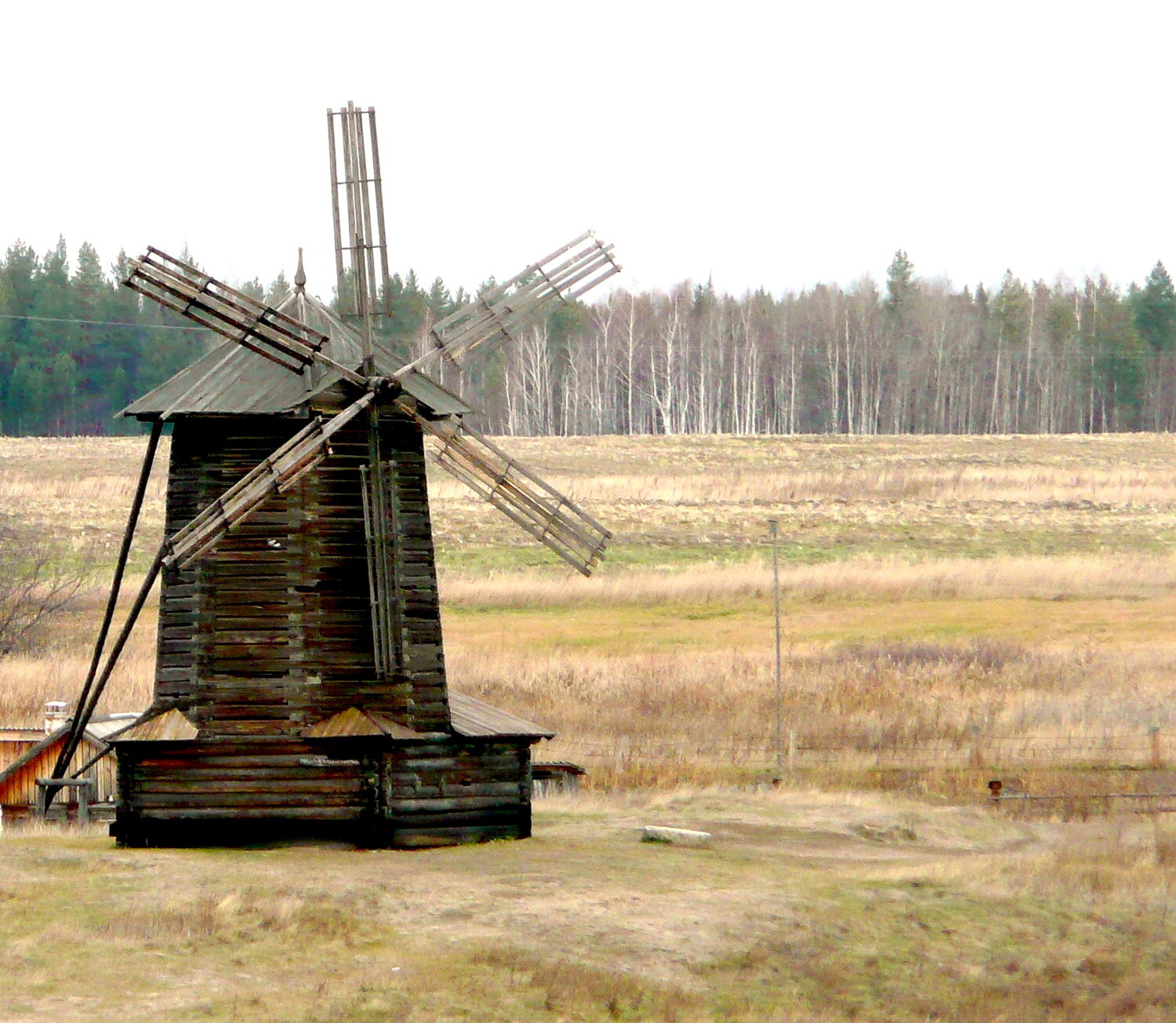 Photo #13902576
