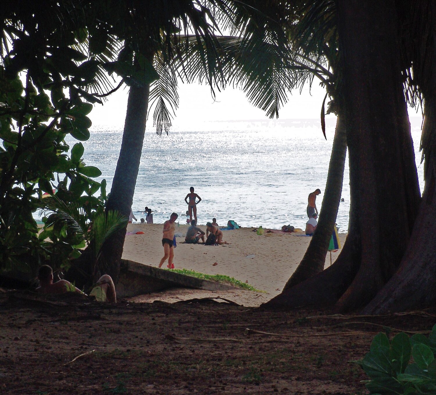 Photo #13902587