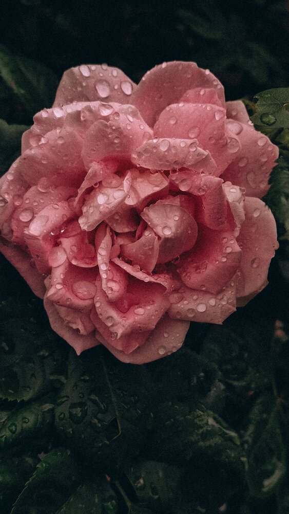 Photograph by Мария Таскаева
