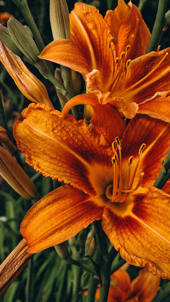 Photograph by Мария Таскаева