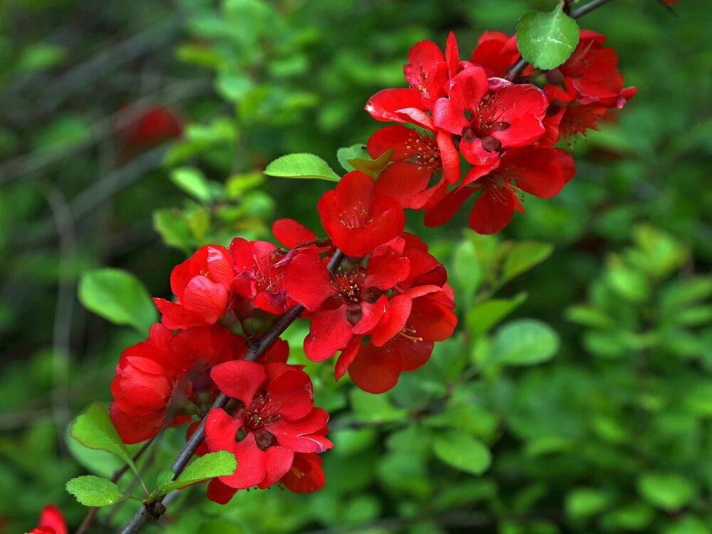 Photograph by Александр Кожевников