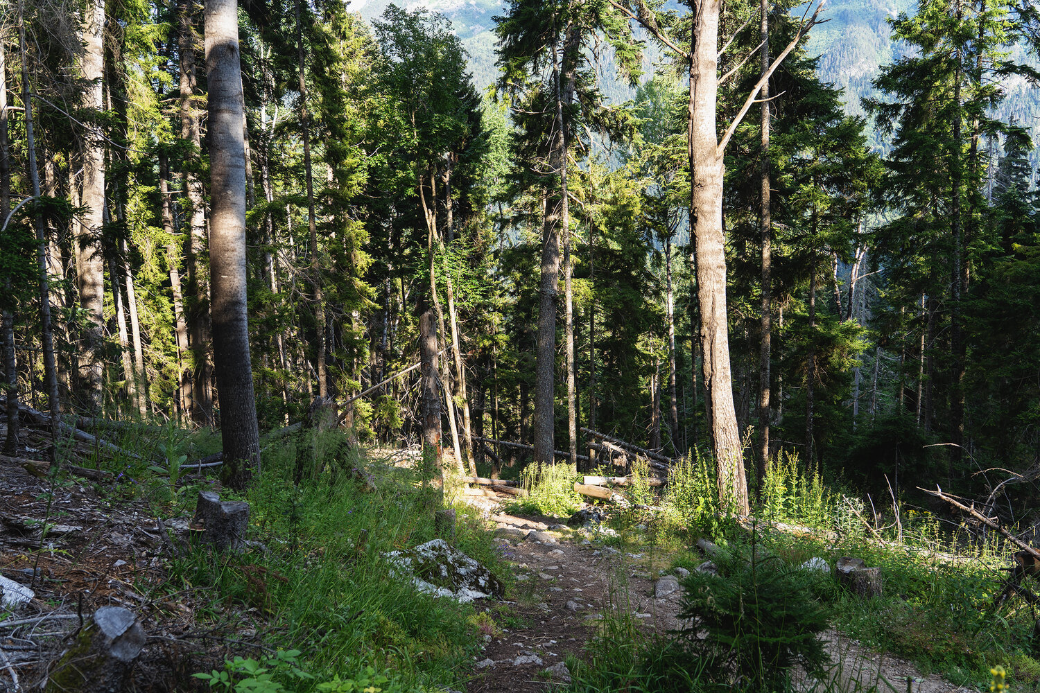 Photo #13902649