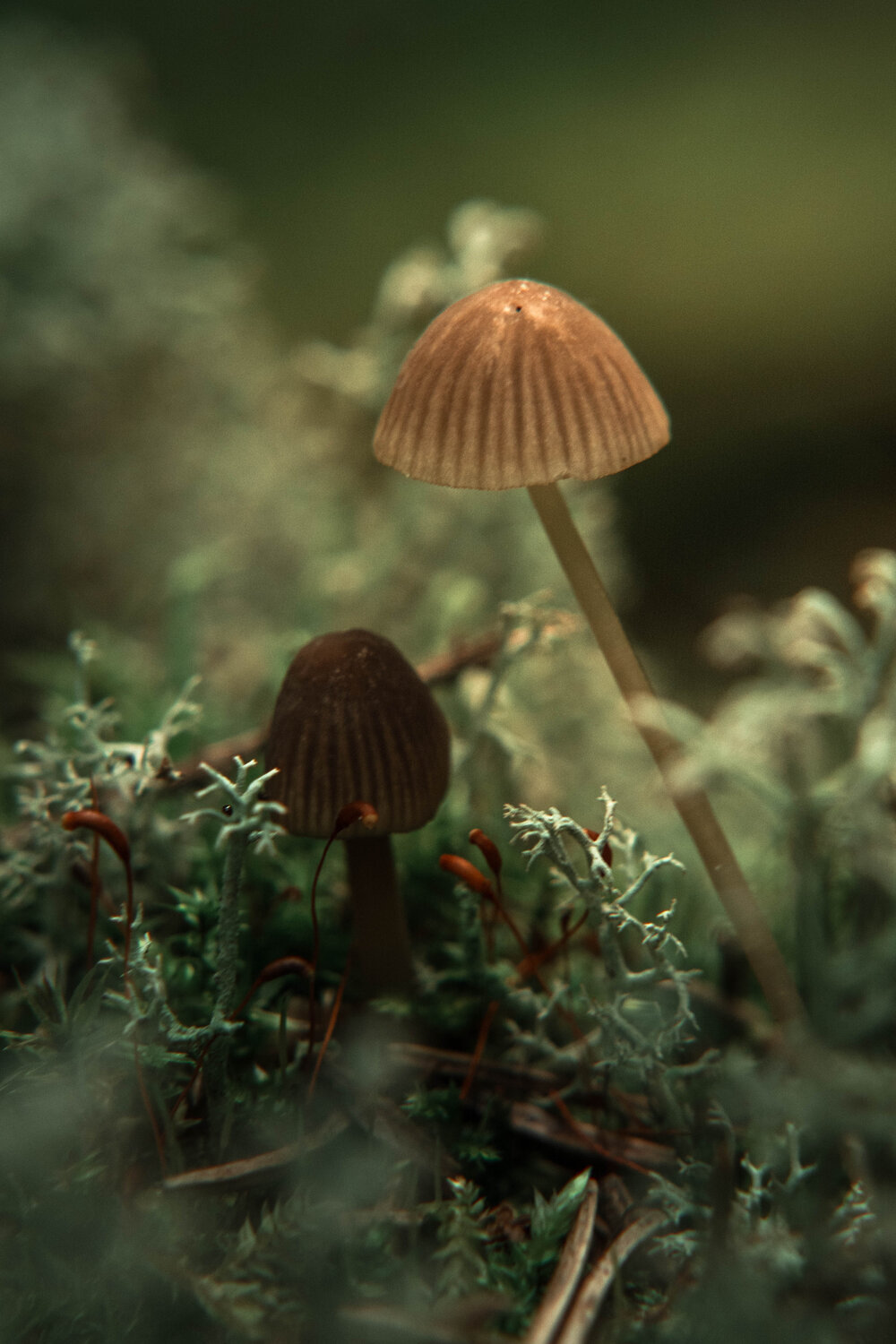 Photo #13902664