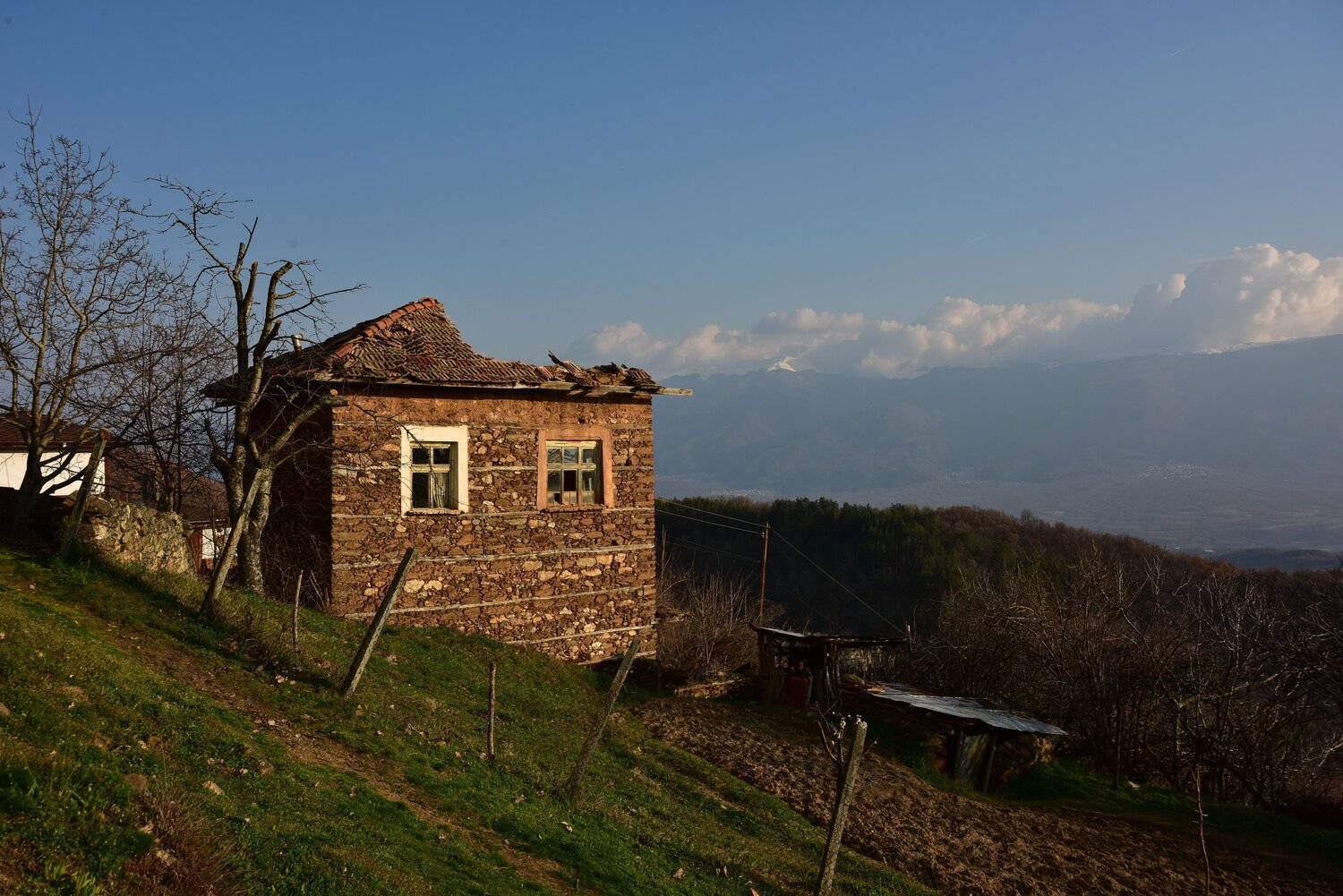 Photo #13902665