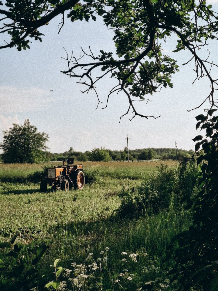 Photograph by Мария Таскаева
